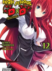 high-school-dxd-vol-12-light-novel
