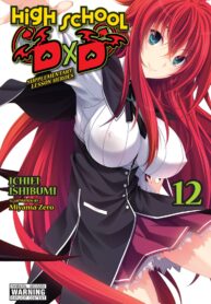 high-school-dxd-vol-12-light-novel